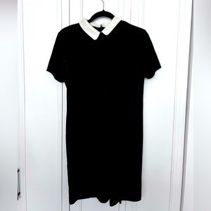 Velvet black dress with collar